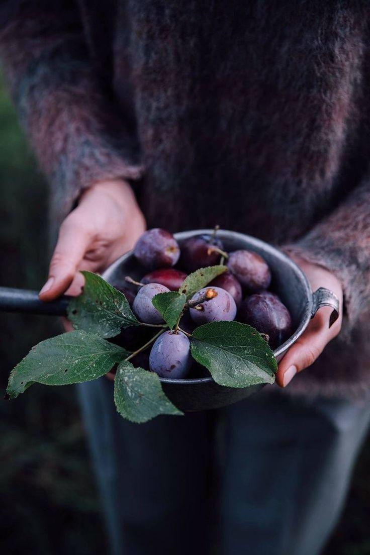 Berry Bliss: Hand-selected Farmer's Mix